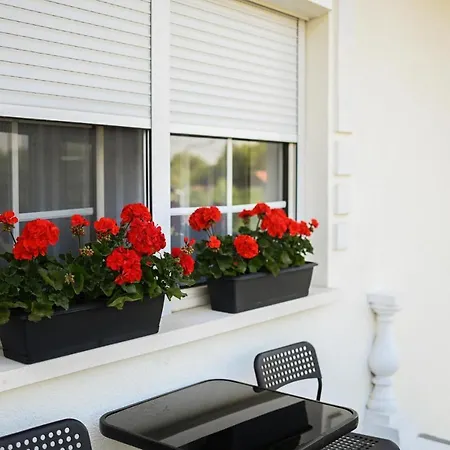 B-30 Vendeghaz * Tokaj