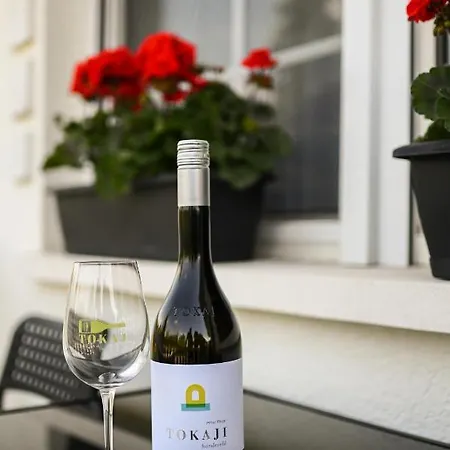 Alloggio in famiglia B-30 Vendeghaz