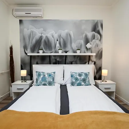 Homestay B-30 Vendeghaz