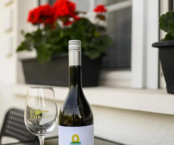 Homestay B-30 Vendeghaz